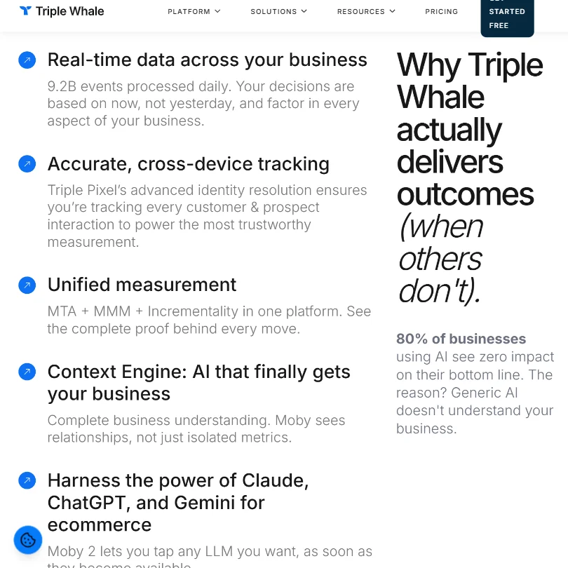 Triple Whale features screenshot