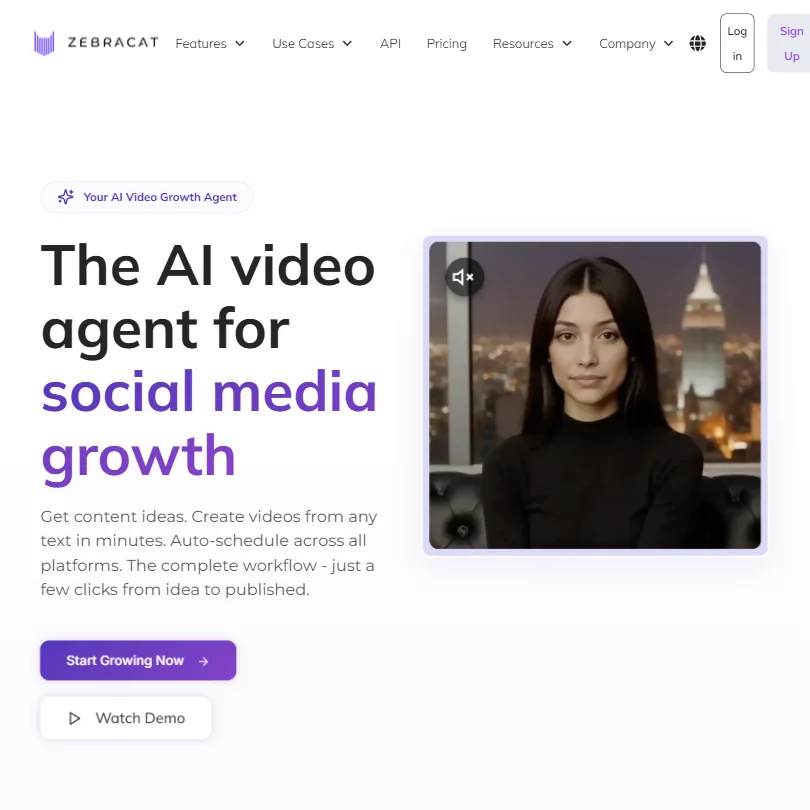 Zebracat homepage screenshot