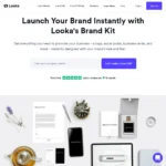 Looka Brand Kit
